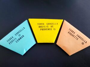 173958968_282311573545588_2170456437182896719_n